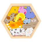 Wooden Hexagon Tangram Puzzle