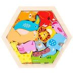 Wooden Hexagon Tangram Puzzle